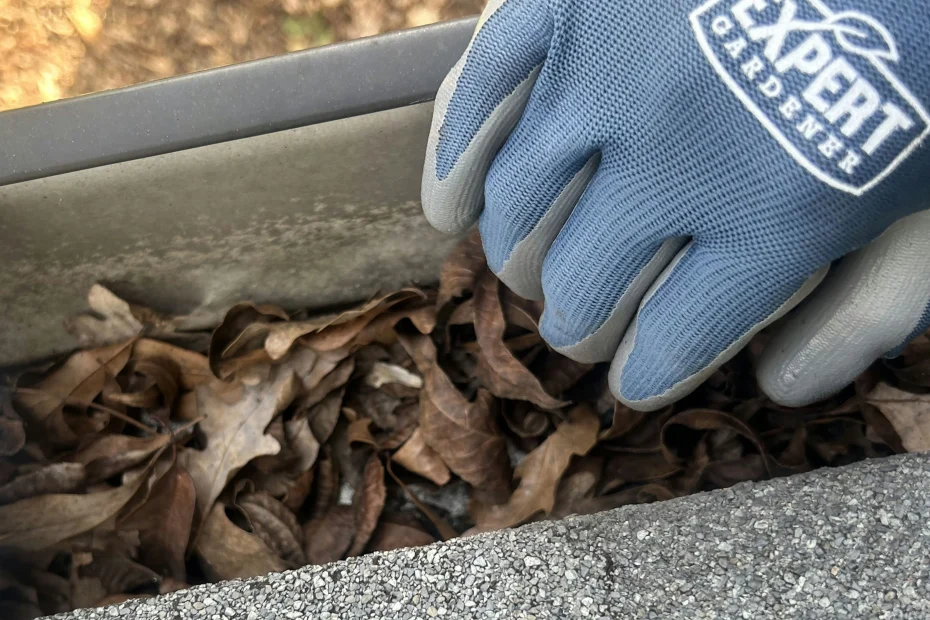 Gutter Cleaning Homewood