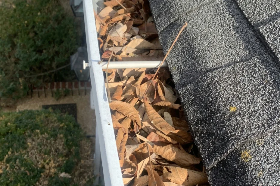 Gutter Cleaning Homewood